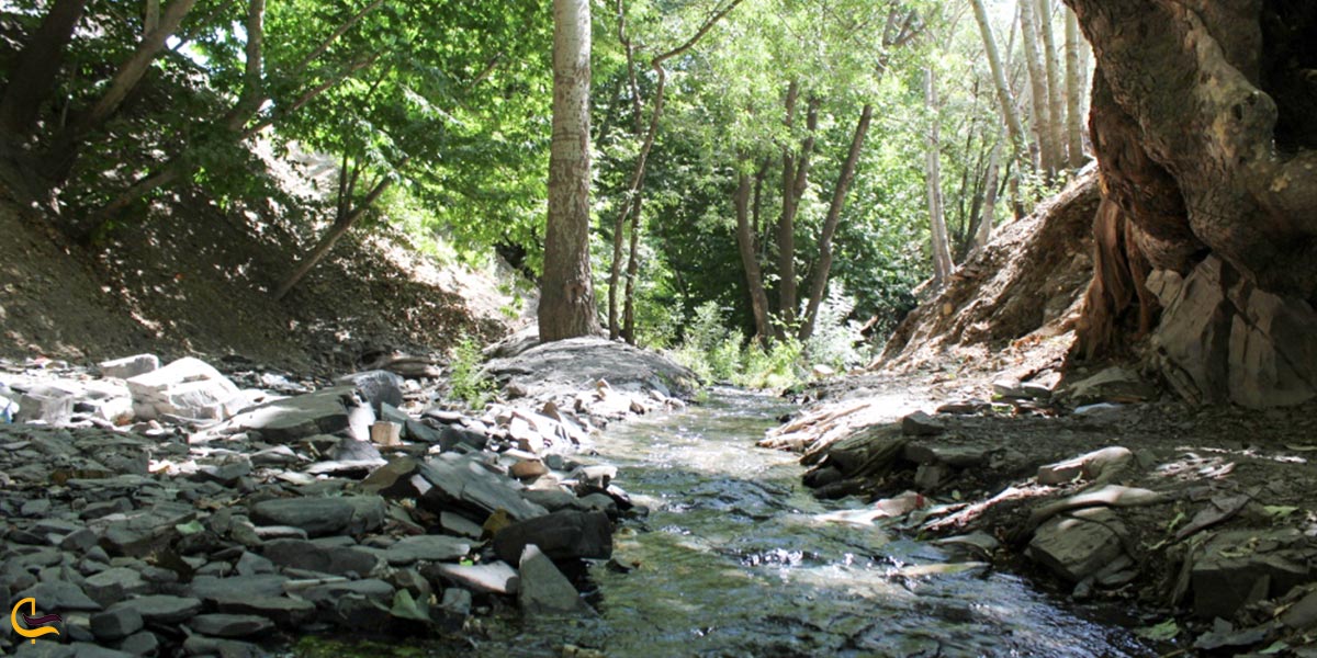 تصویری از روستای نغندر مشهد