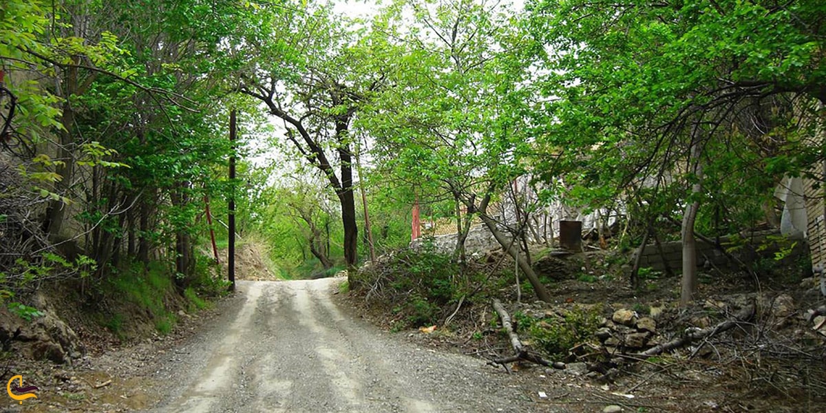 بازدید از طرقبه مشهد در فصل بهار