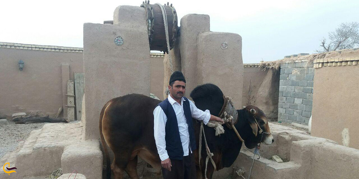 بازدید از گاو چاه ورزنه شهر اصفهان