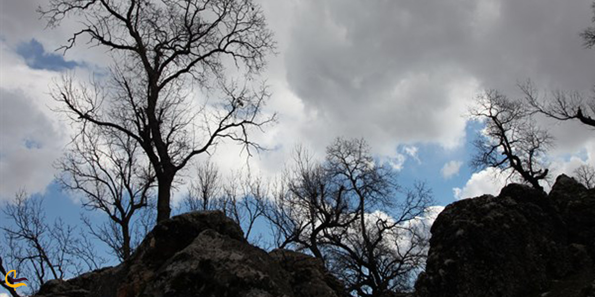 تصویری از طبیعت زیبا شهر اندیکا