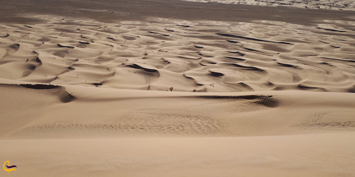 تصویری از شن های کویر ریگ جن