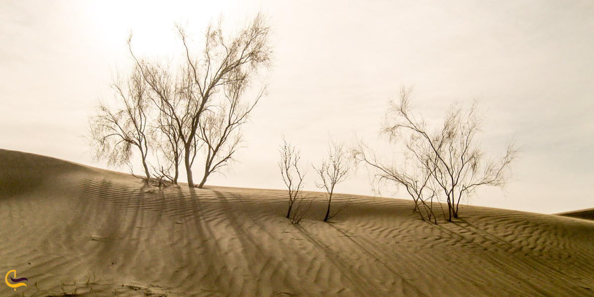 تصویری از کویر ریگ جن