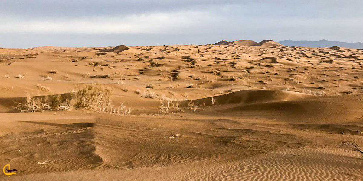 تصویری از کویر زیبا ریگ جن سمنان