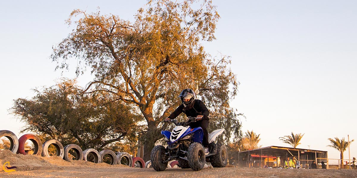 تصویری از سافاری کیش