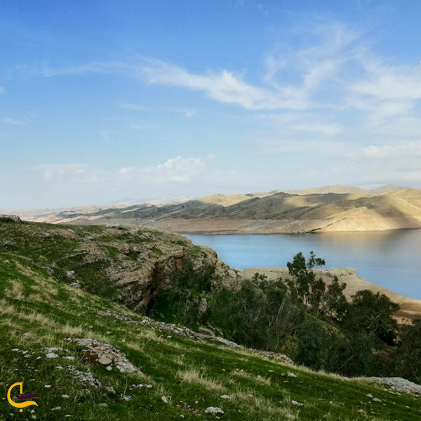 تصویری از طبیغت بهاری جزیره دریاچه شهیون دزفول