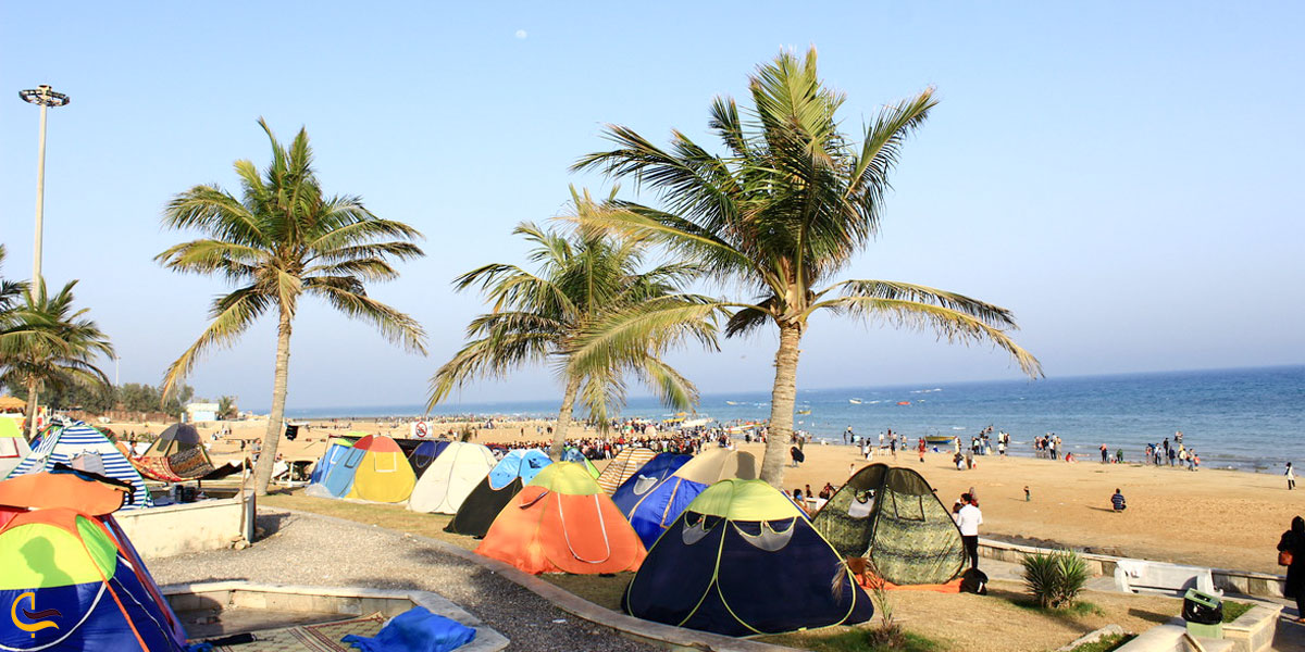 تصویری از مسافران در ساحل زیبا