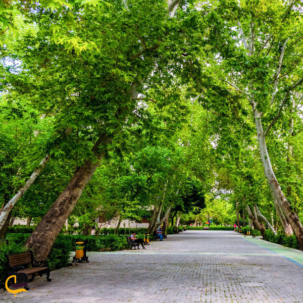 نمایی از پارک شهر تهران