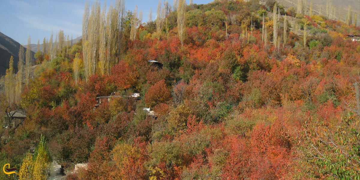 تصویری از طبیعت روستای زشک