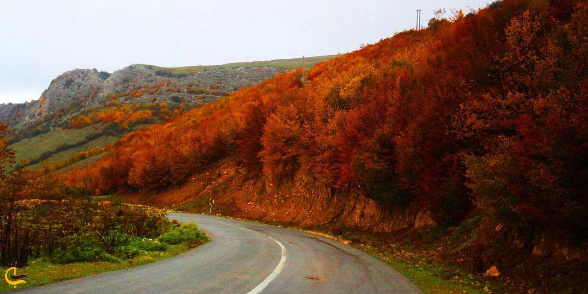 تصویری از جنگل پاییزی گلوگاه