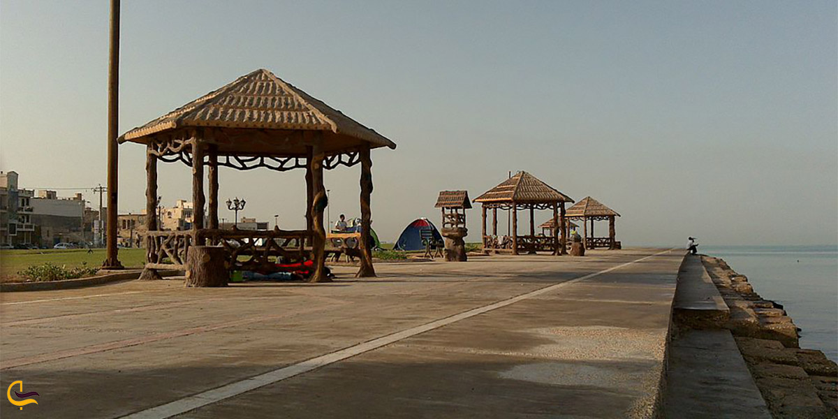 تصویری دیگر از ساحل ریشهر