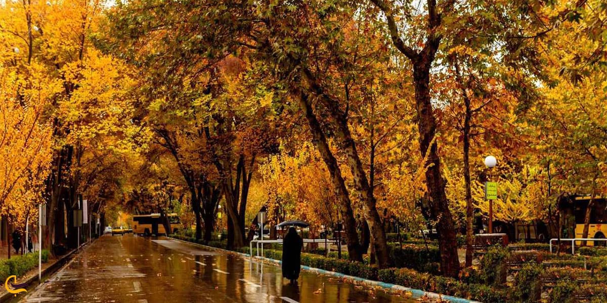 نمایی از تصویر پاییزی خیابان چهارباغ اصفهان