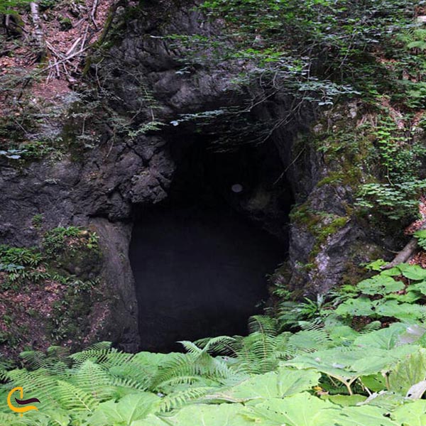 تصویری از غار آویشو