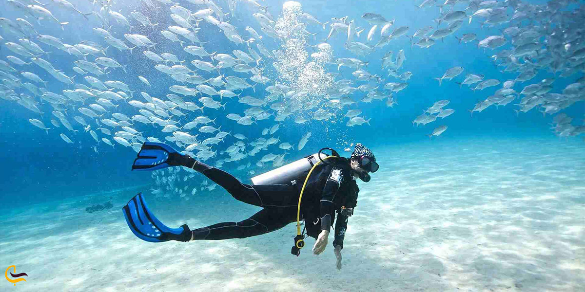 نمایی از غواصی در کیش