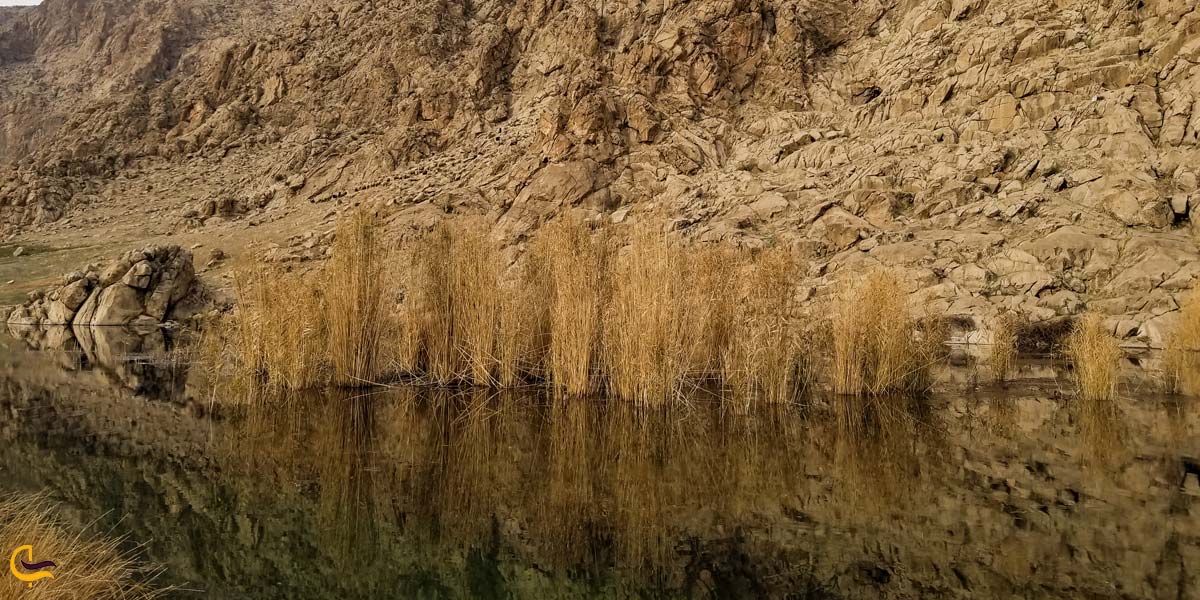 تصویری از تالاب هشیلان خرم دره