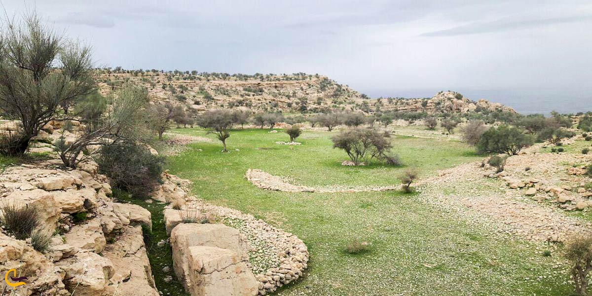 تصویری از طبیعت خورموج بوشهر