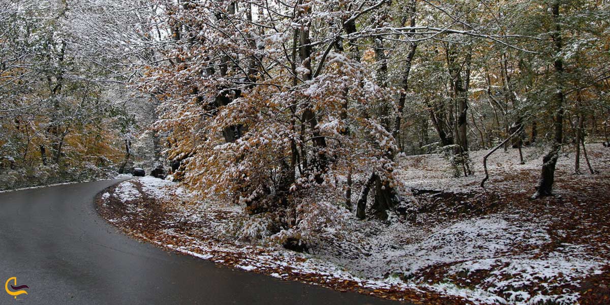 تصویری از طبیعت جاده خرم دره
