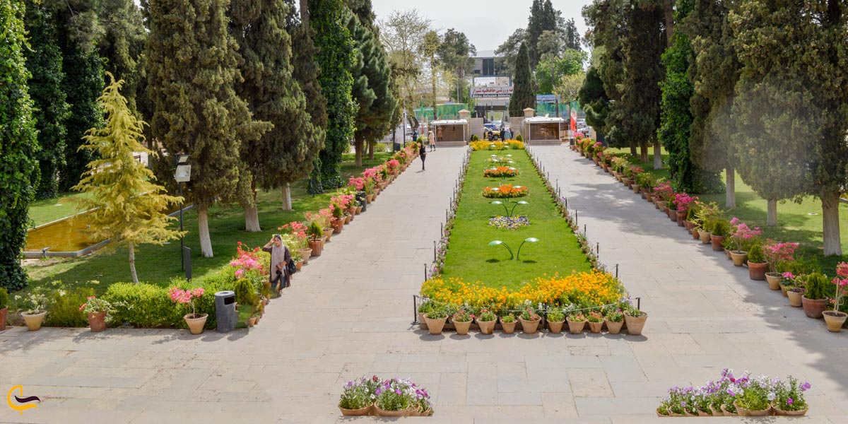 تصویری از طبیعت سرسبز محوطه آرامگاه حافظ شیراز