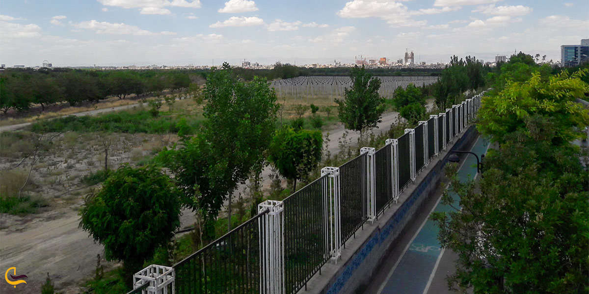 نمایی از باغ ملک آباد
