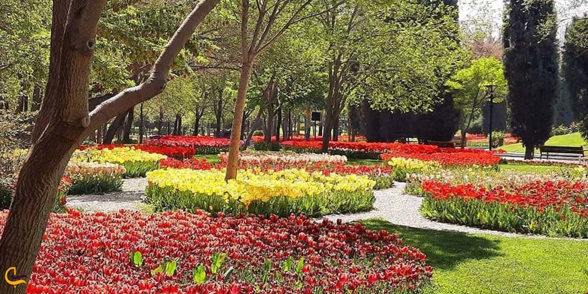 تصویری از گلکاری پارهای مشهد به استقبال از بهار