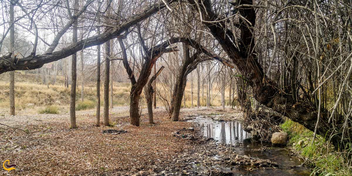 تصویری از طبیعت بکر تفرش استان مرکزی