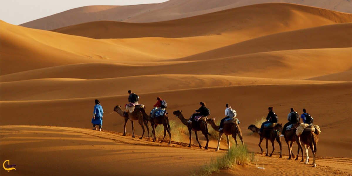 نمایی از تورکویر کاراکال
