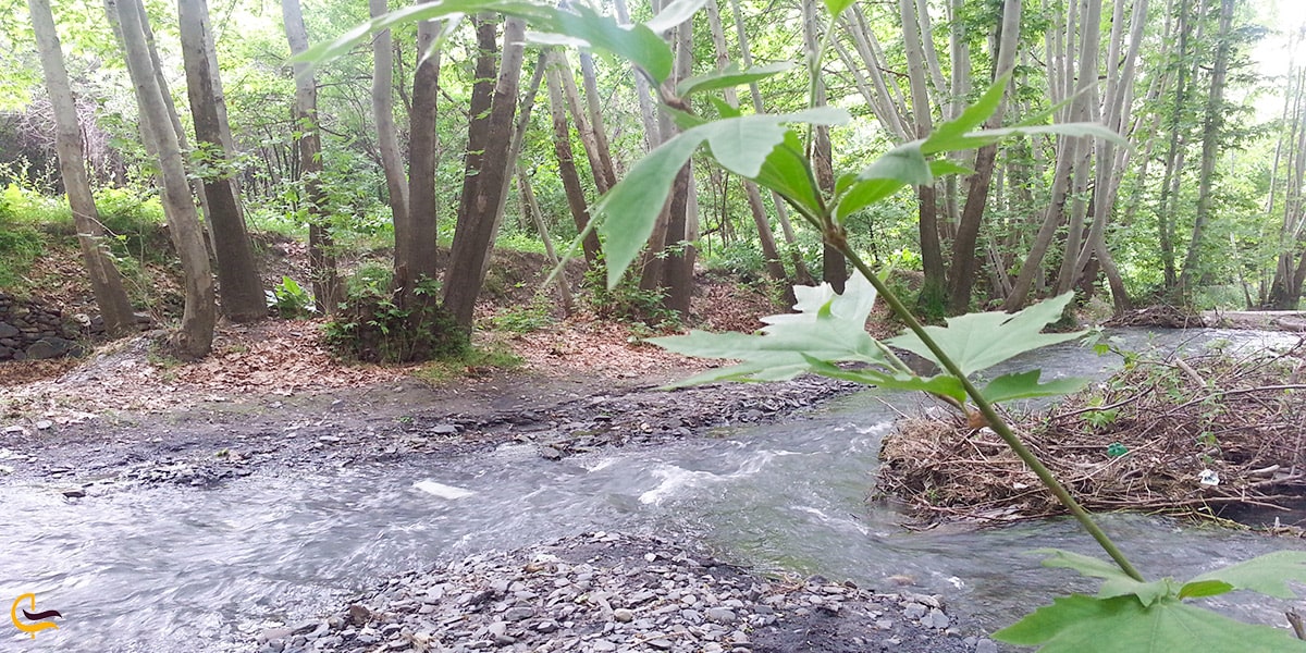 بازدید از باغ ها و طبیعت زیبای طرقبه