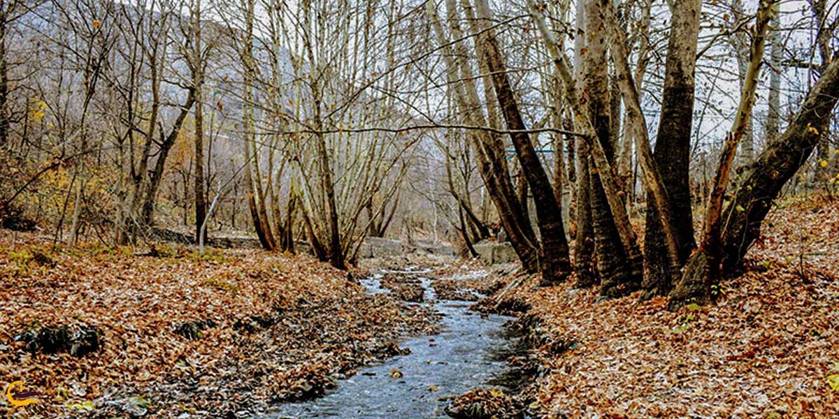 jwتصویری از طبیعت پاییزی ابرده