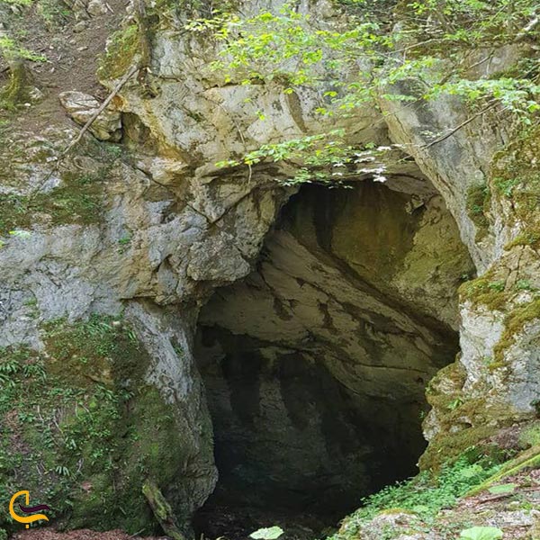تصویری از غار آویشو