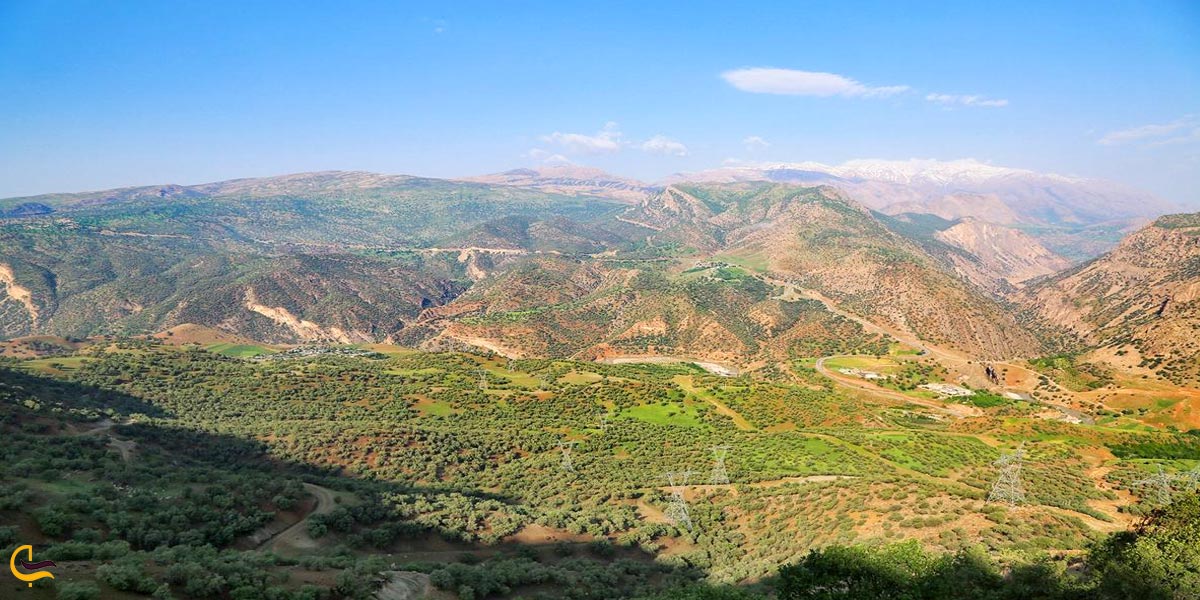 تصویری از طبیعت سرسبز داراب