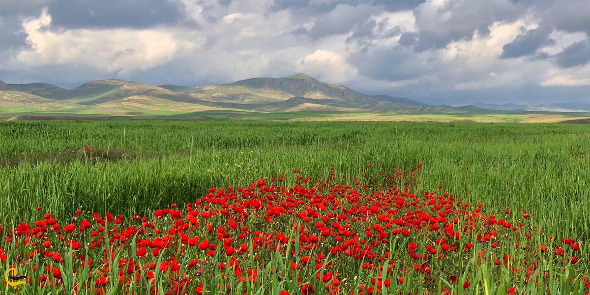تصویری از طبیعت درگز