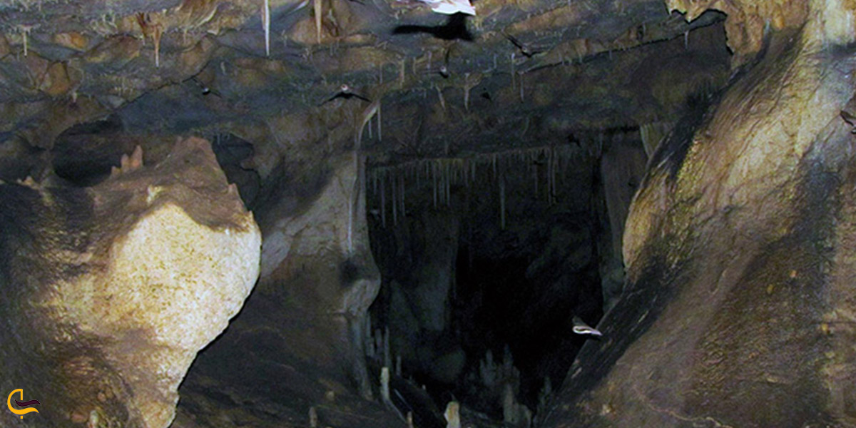 تصویری از غار قلعه کرد 