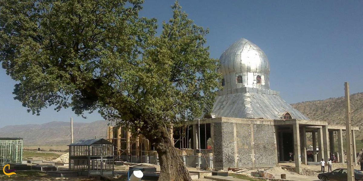 تصویری ا زامامزاده سید محمد