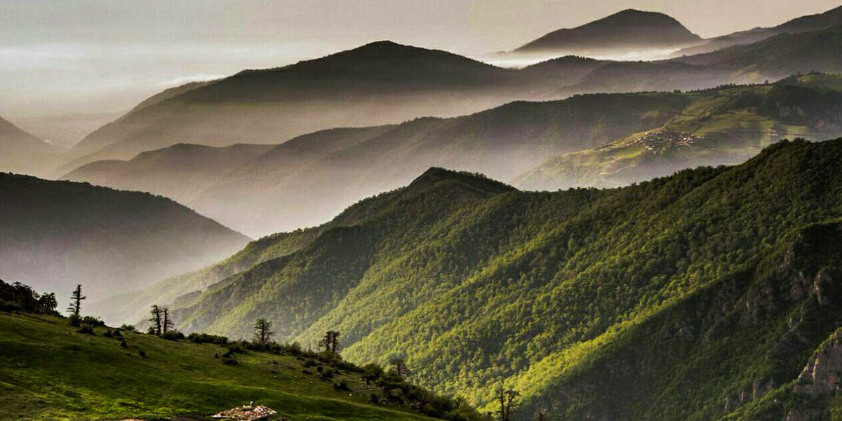 نمایی از طبیعت سرسبز جنگل ابر شاهرود