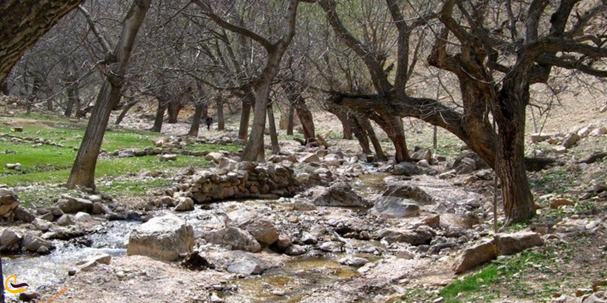 تصویری از طبیعت اخلمد