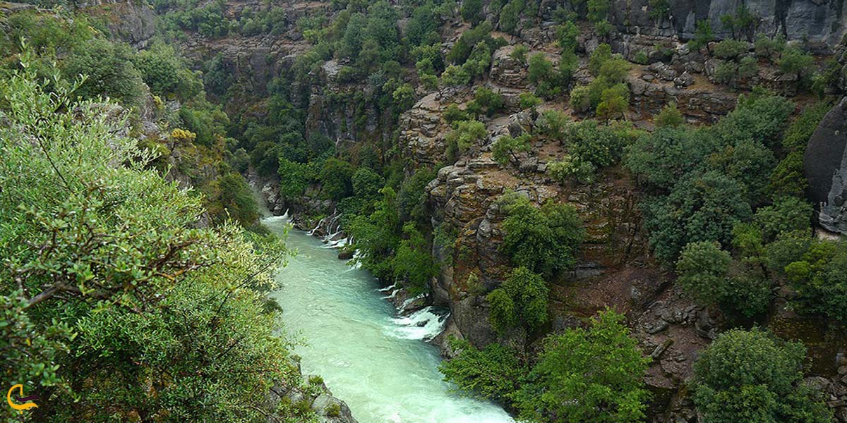 تصویری از طبیعت سرسبز پارک ملی آنتالیا