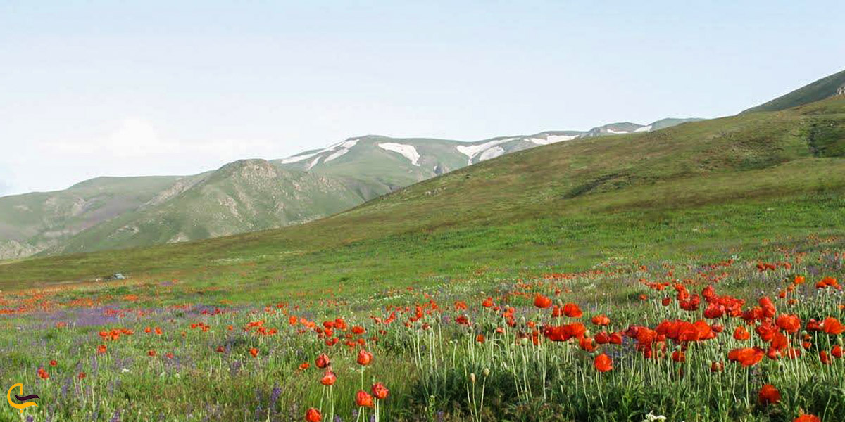 تصویری از منطقه حفاظت شده قره داغ