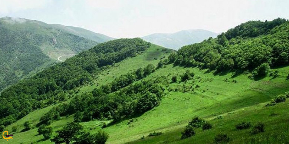 نمایی از ارتفاعات سرسبز جنگل ارسباران