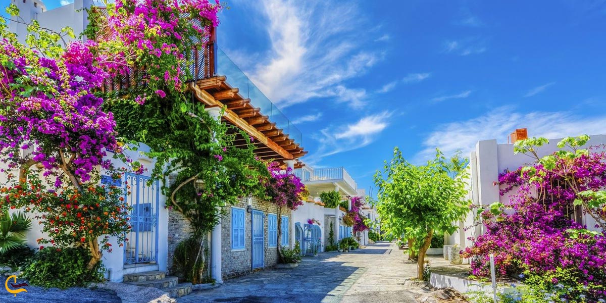 تصویری از شهر بودروم