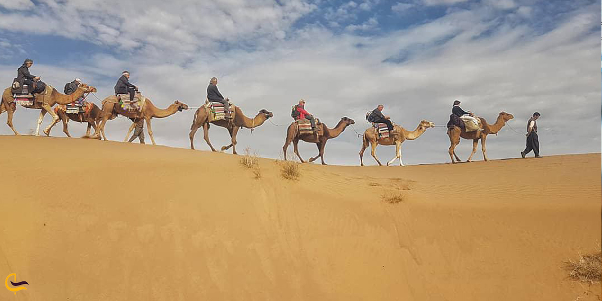 تصویری از شتر سواری در کویر ابوذید آباد