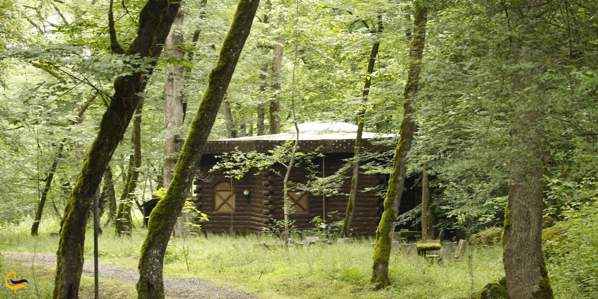 تصویری از طبیعت سرسبز چالیدره