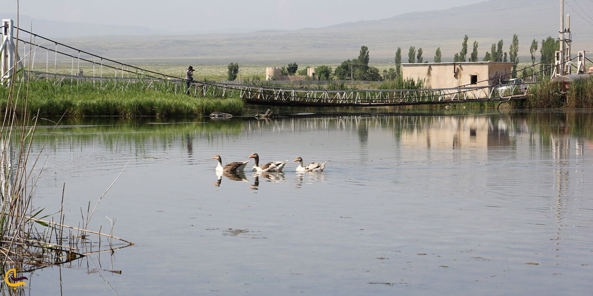 نمایی از چشمه ثریا