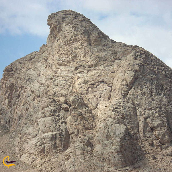 نمای نزدیک از عقاب کوه شهر تفت یزد