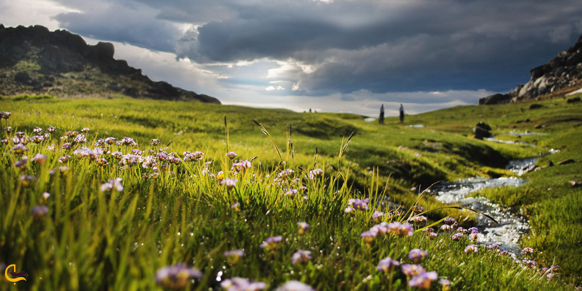 تصویری از طبیعت دشت میشان