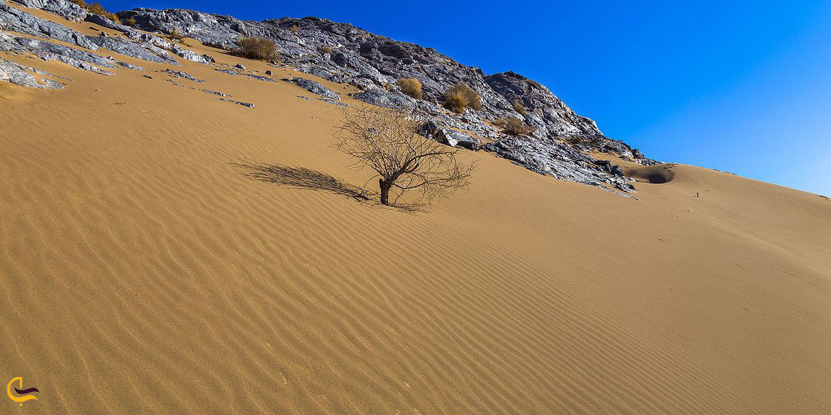 نمایی از کویر پلوند