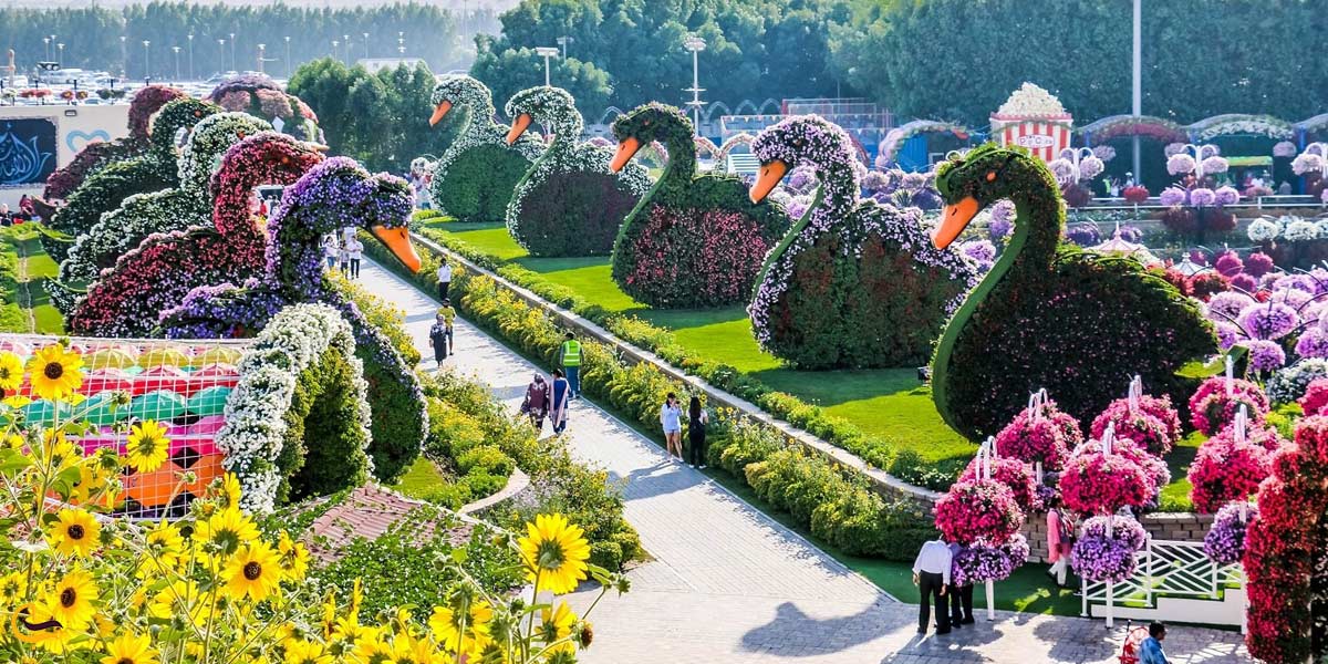 تصویری از باغ گل معجزه دبی