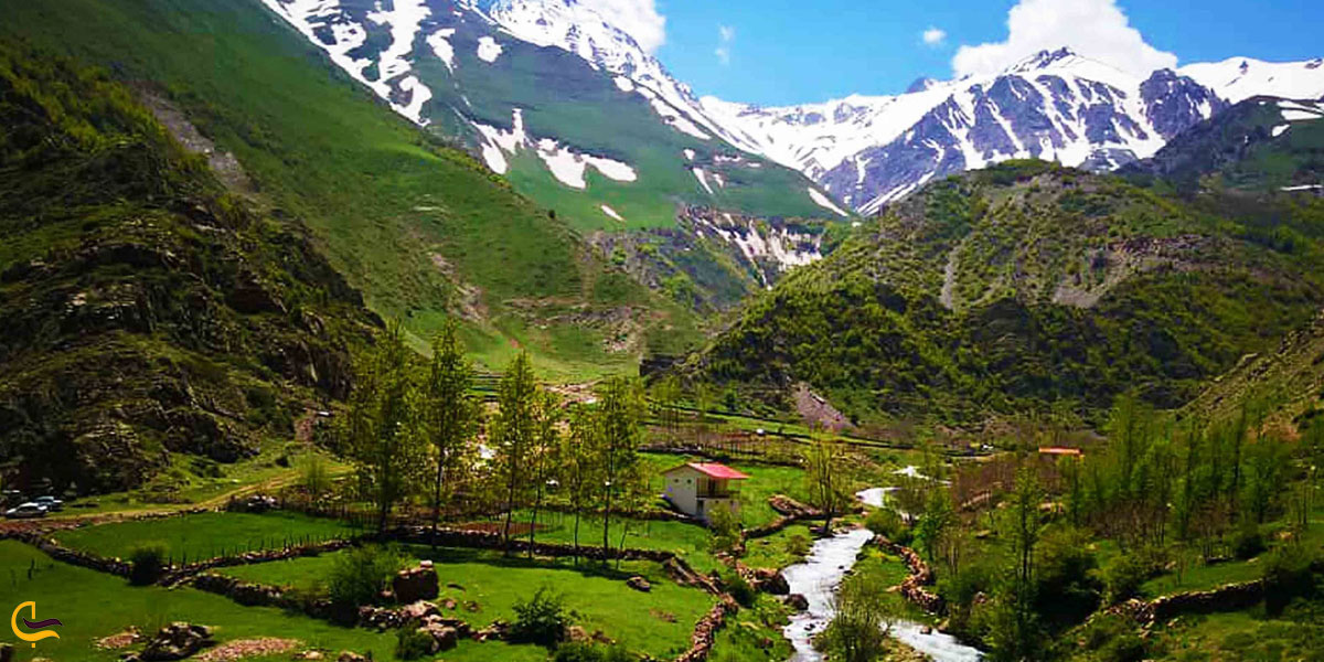 تصویری از جنگل اورست