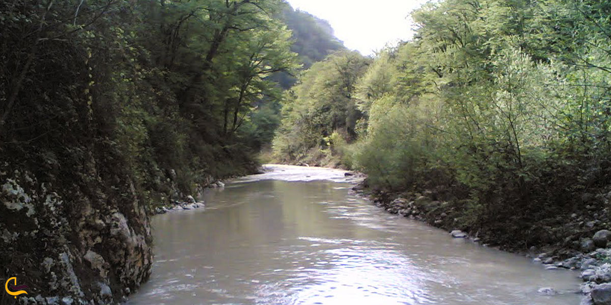 تصویری از افرا چشمه