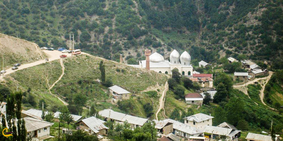 تصوری از جنگل شیخ موسی