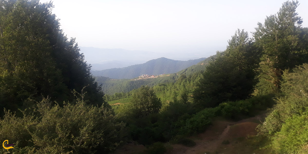 تصویری از طبیعت سرسبز هلودشت