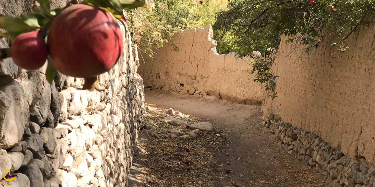 تاریخچه شهر تاریخی تفت در استان یزد